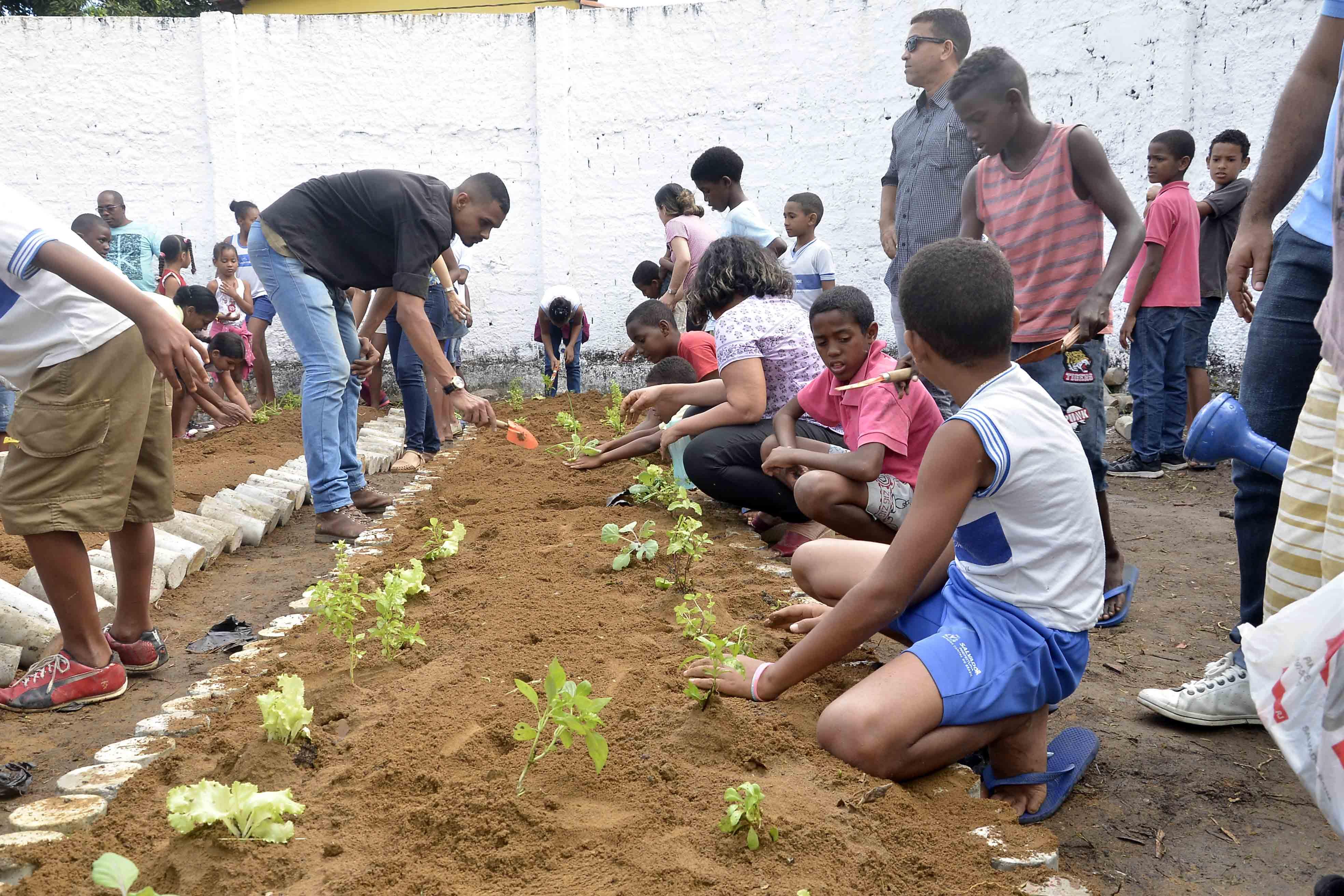Hortas públicas promovem interação entre comunidades de Salvador