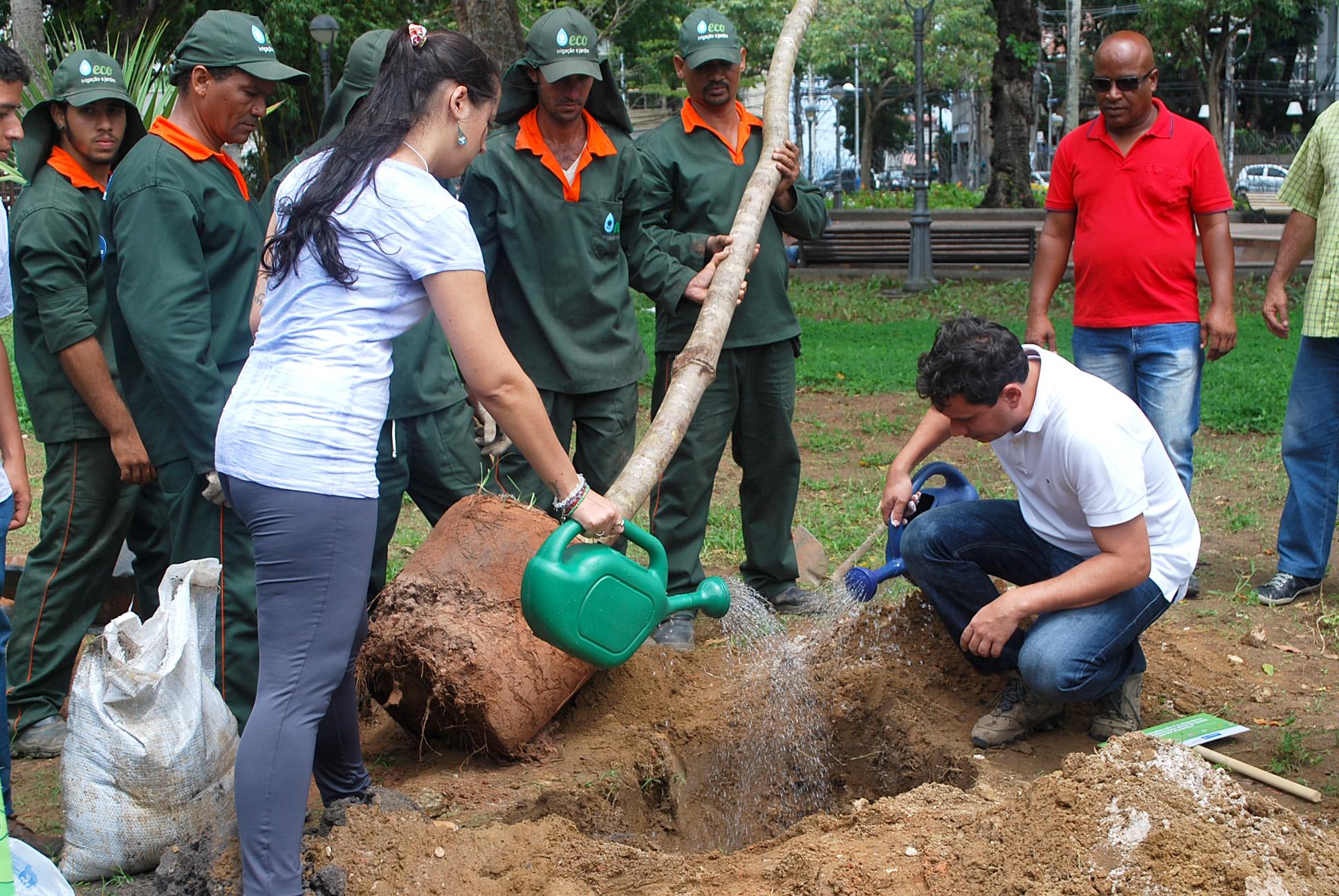 Treinamento capacita voluntários para o plantio de árvores durante o período chuvoso