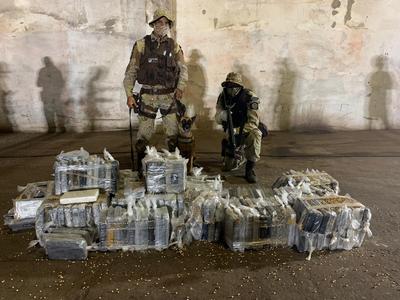 Cadela localiza duas toneladas de cocaína no porto de Ilhéus; droga renderia R$ 40 milhões