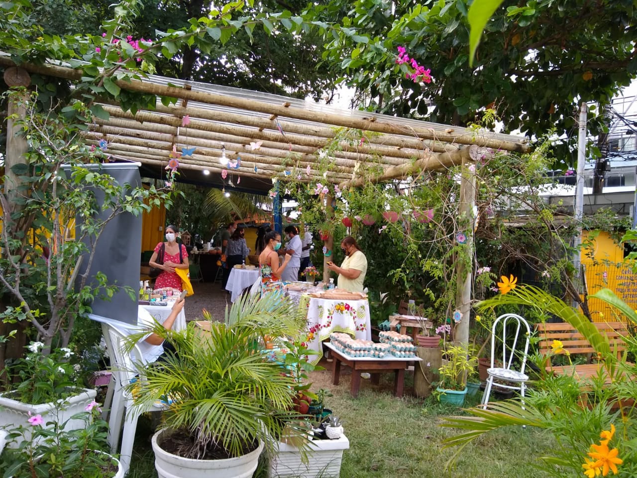 Primeira horta urbana de Salvador completa quatro anos
