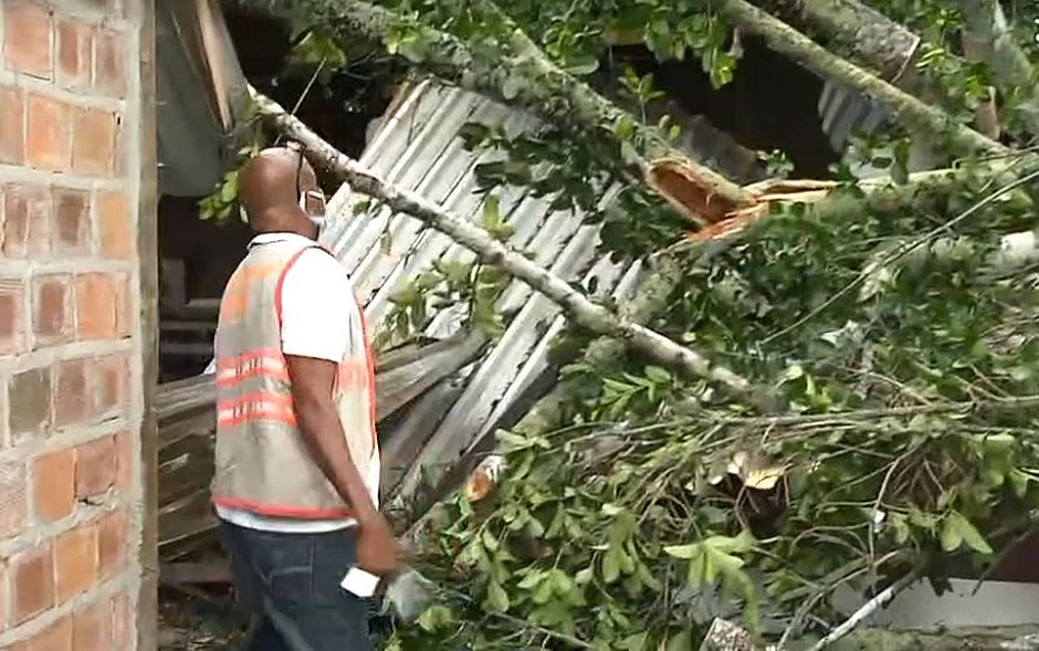 Queda de árvore em Lauro de Freitas provoca ferimentos em três pessoas