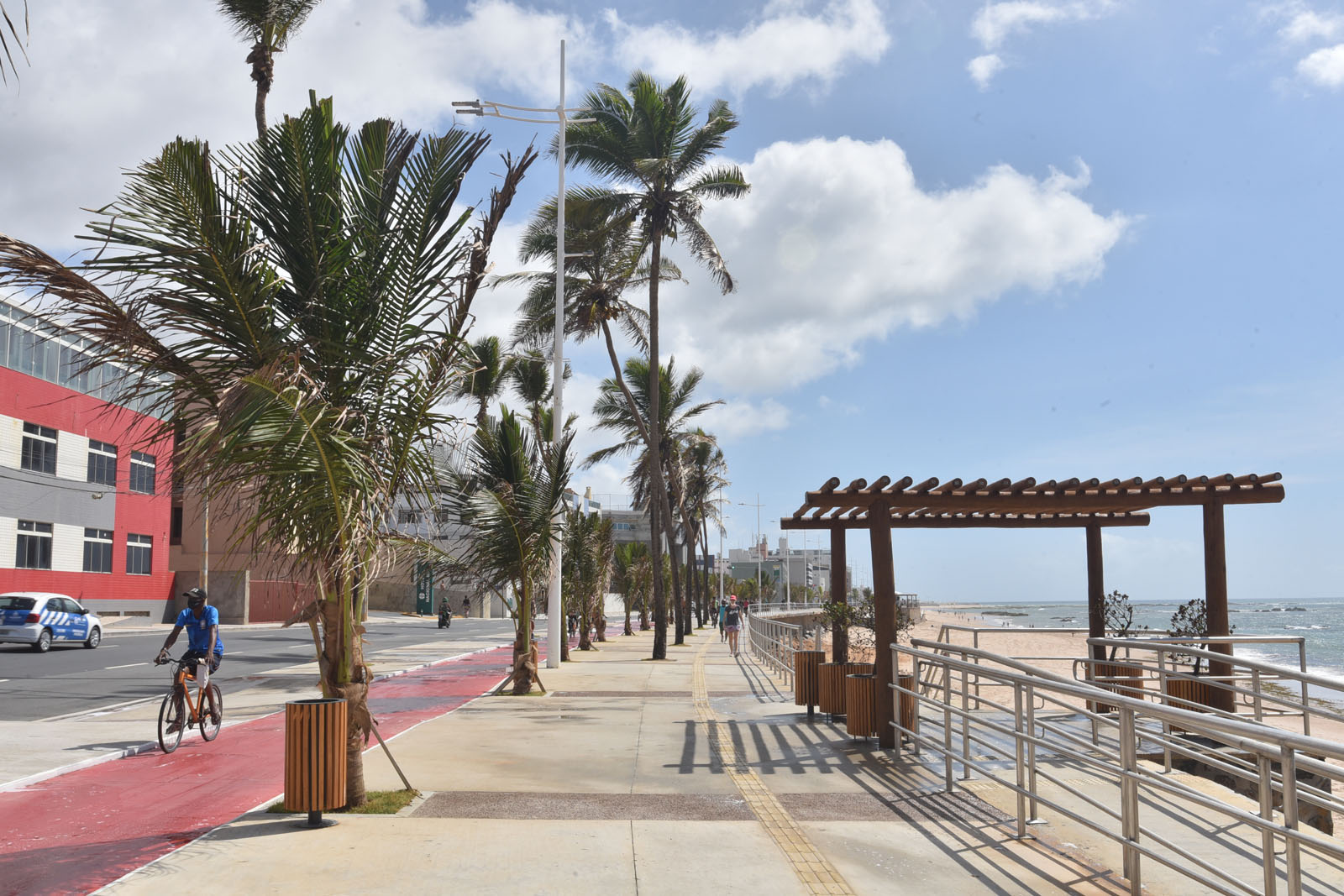 Prefeitura realiza limpeza de coqueiros na orla marítima