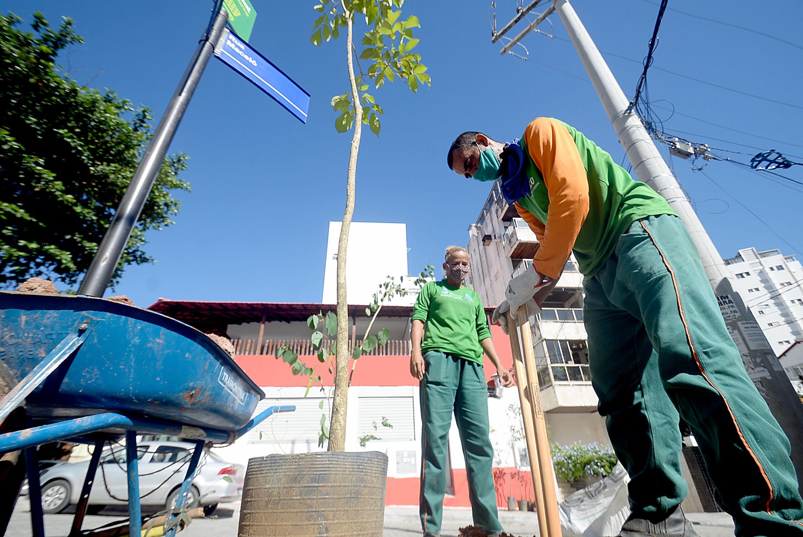 Operação Plantio Chuva começa nesta quarta (24) em Salvador