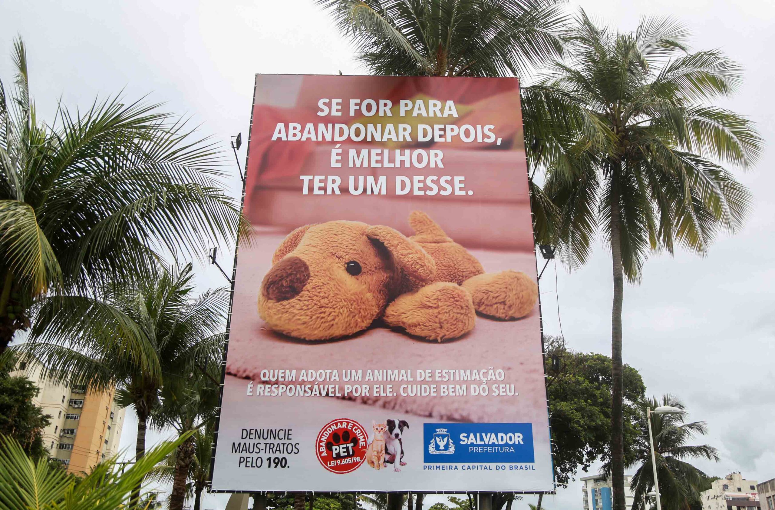 Campanha mobiliza população contra o abandono de animais