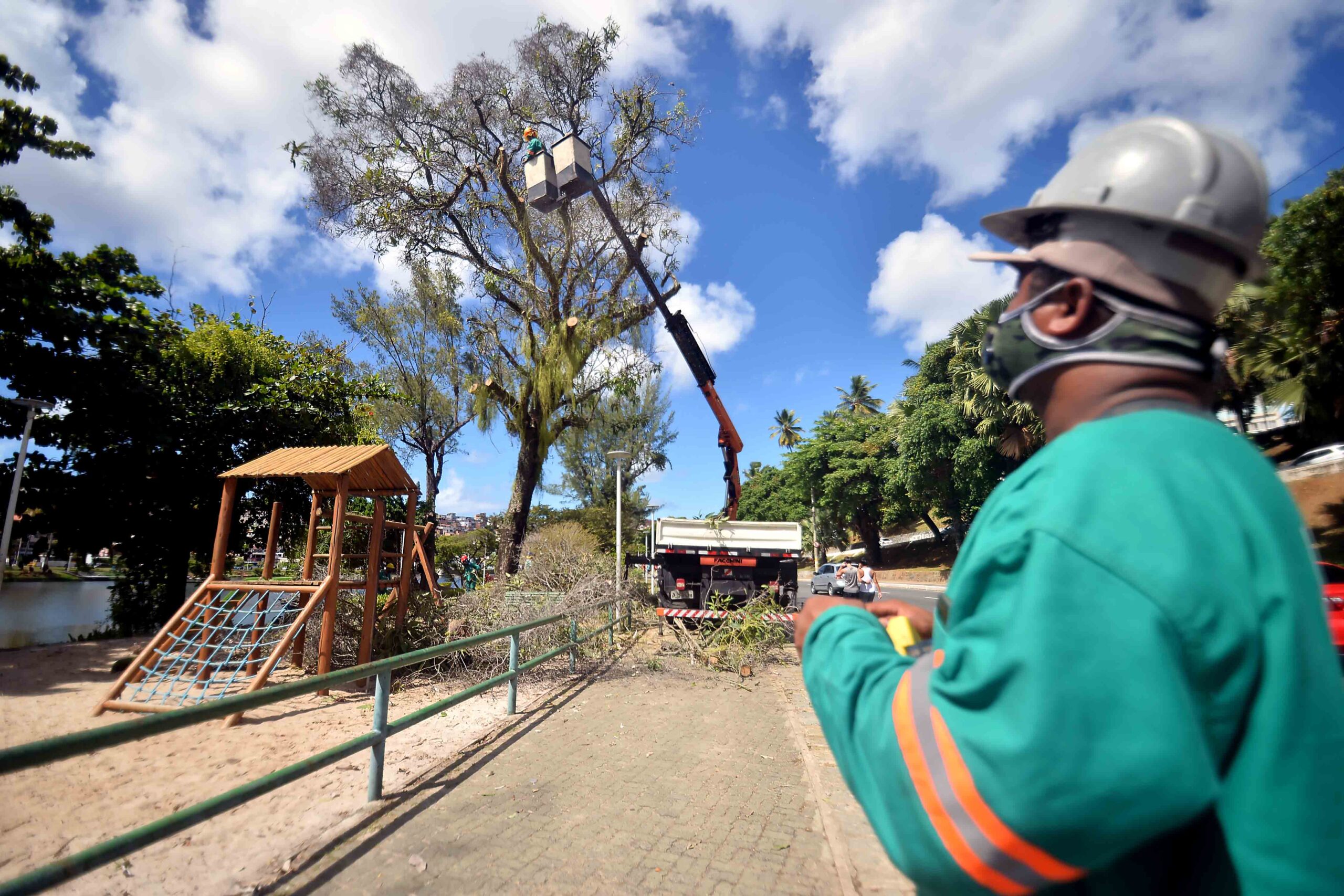 Prefeitura faz vistoria e remove galhos no Dique do Tororó