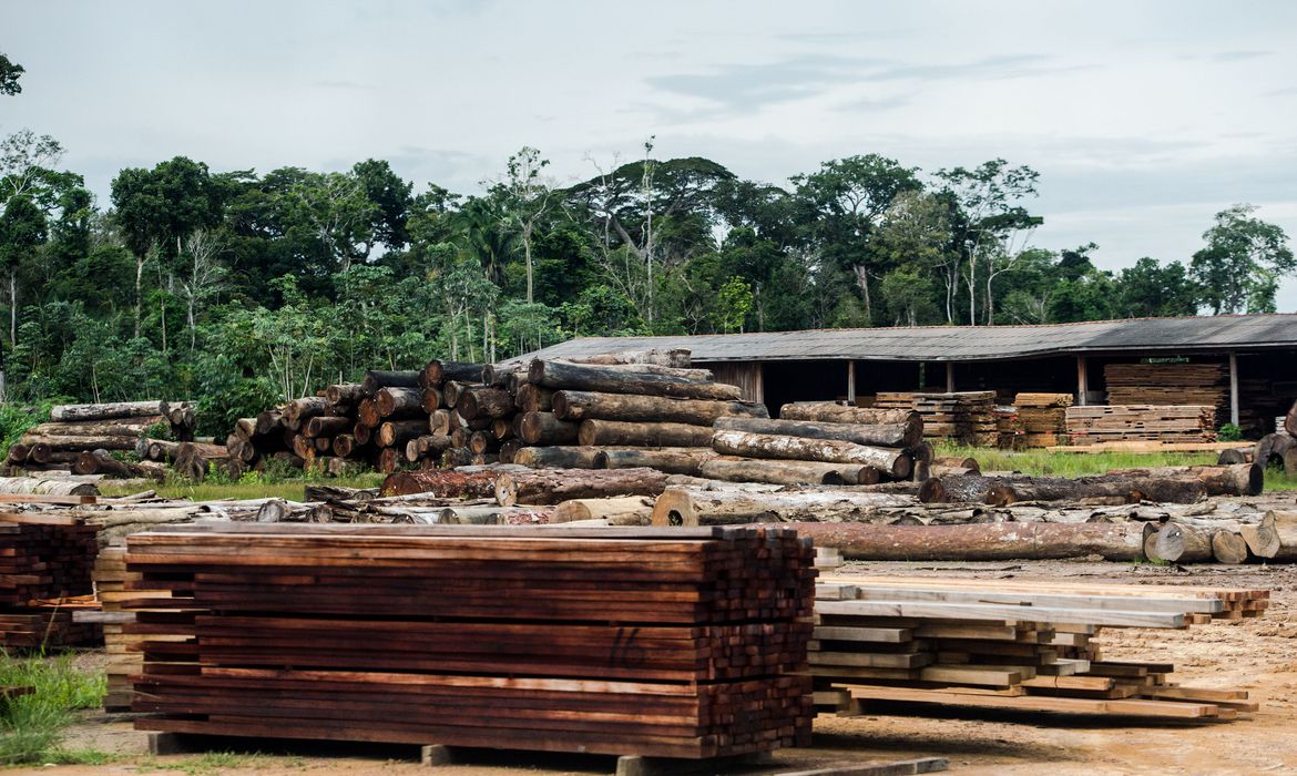 Ministério diz que classificação de madeira pode beneficiar consumidores