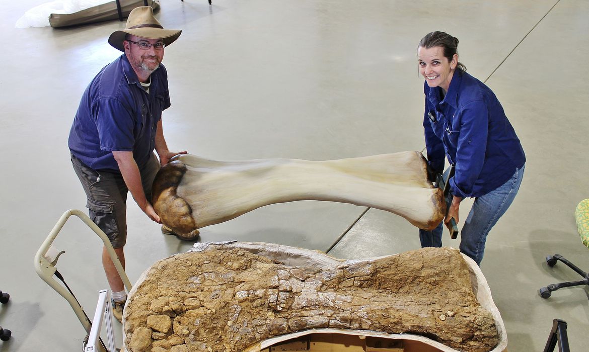 Dinossauro descoberto na Austrália é identificado como nova espécie