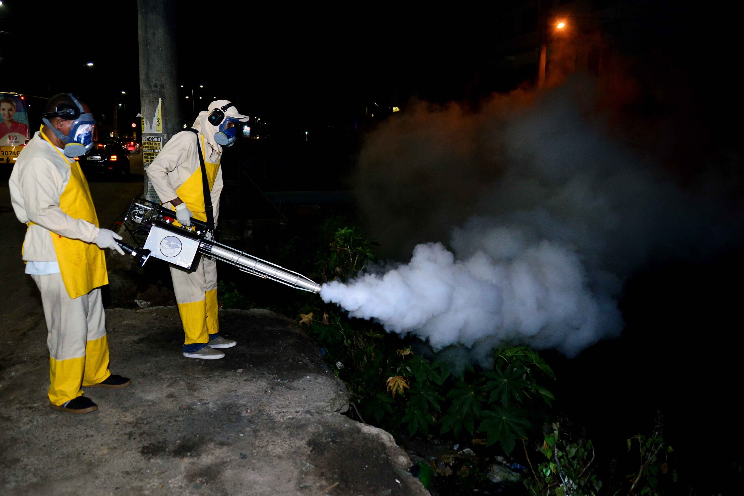 Método auxilia no combate ao mosquito Aedes em Salvador