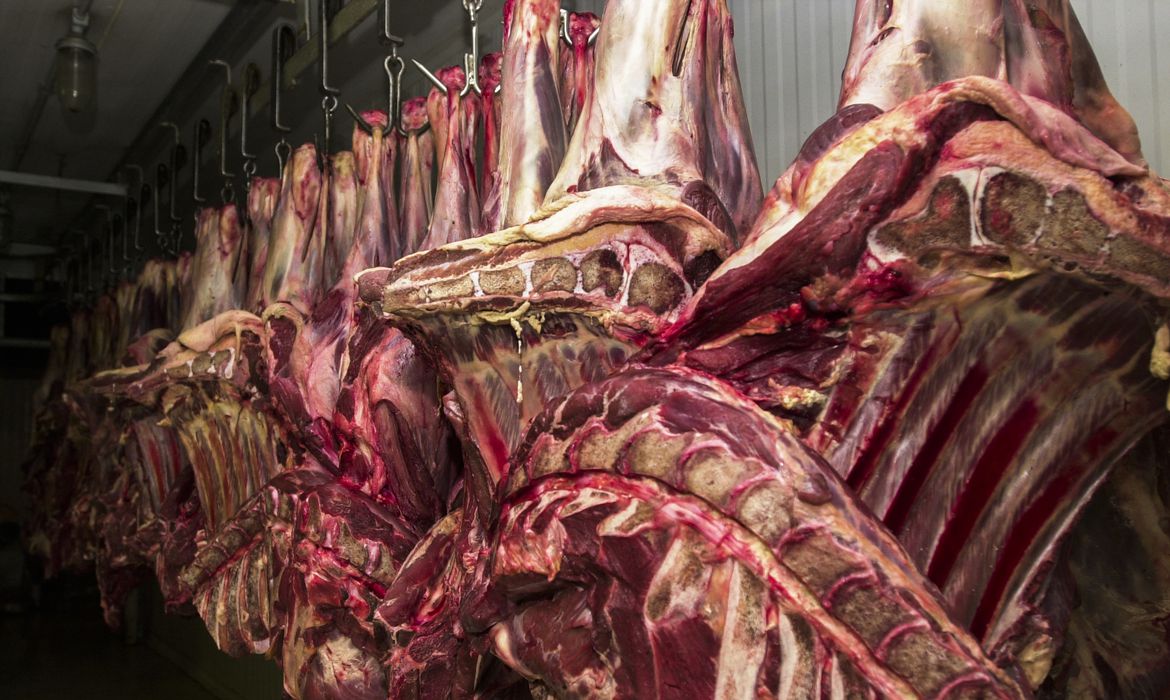 China aceita carne bovina do Brasil certificada até 4 de setembro