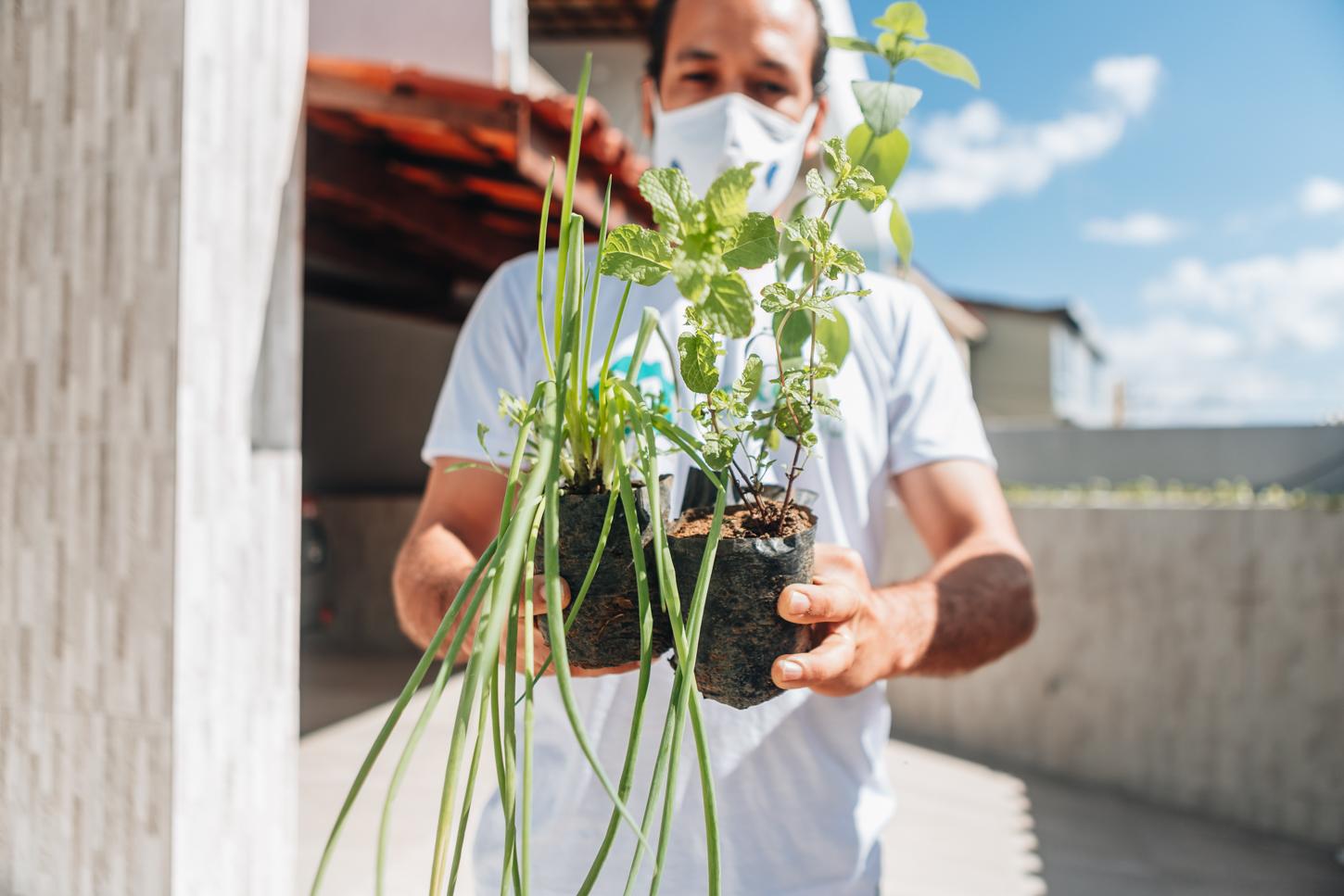 Horta em Casa capacita cidadãos para cultivo dentro do lar