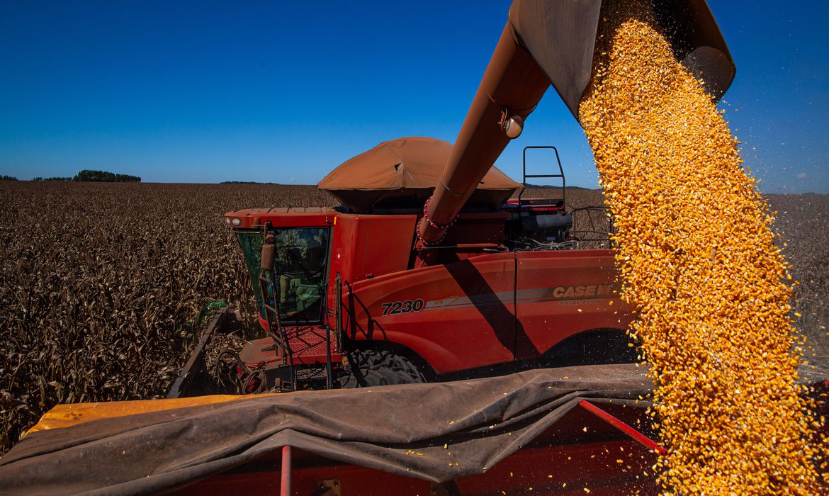 Safra de grãos será de 261 milhões de toneladas este ano, diz IBGE