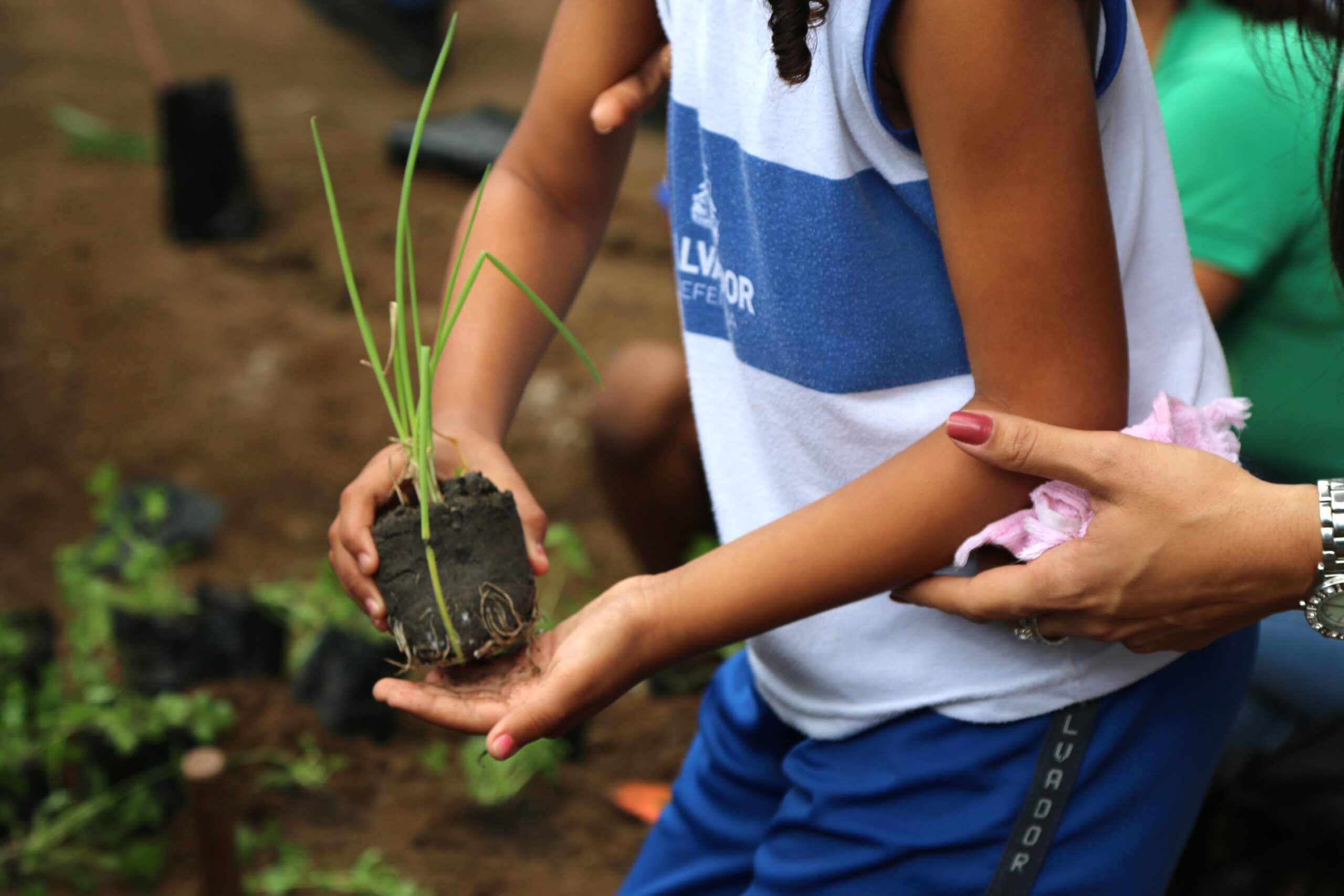 Política ambiental será implantada nas escolas da rede municipal de Salvador