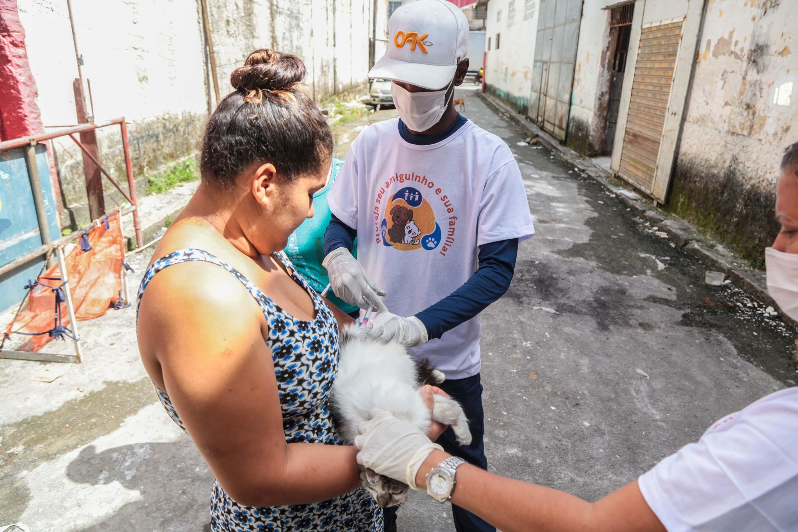 Vacinação antirrábica já imunizou mais de 25 mil animais em Salvador
