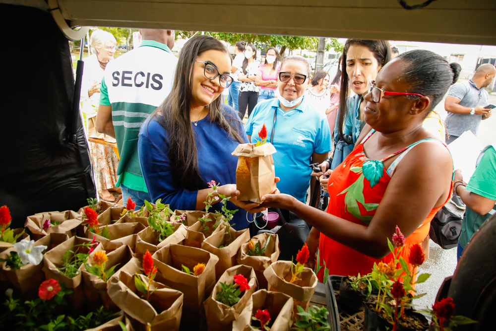 Secis distribui mudas de flores para moradores do Imbuí