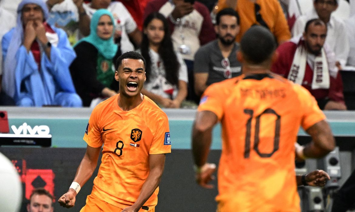 Holanda bate o fraco Catar e passa à próxima fase da Copa