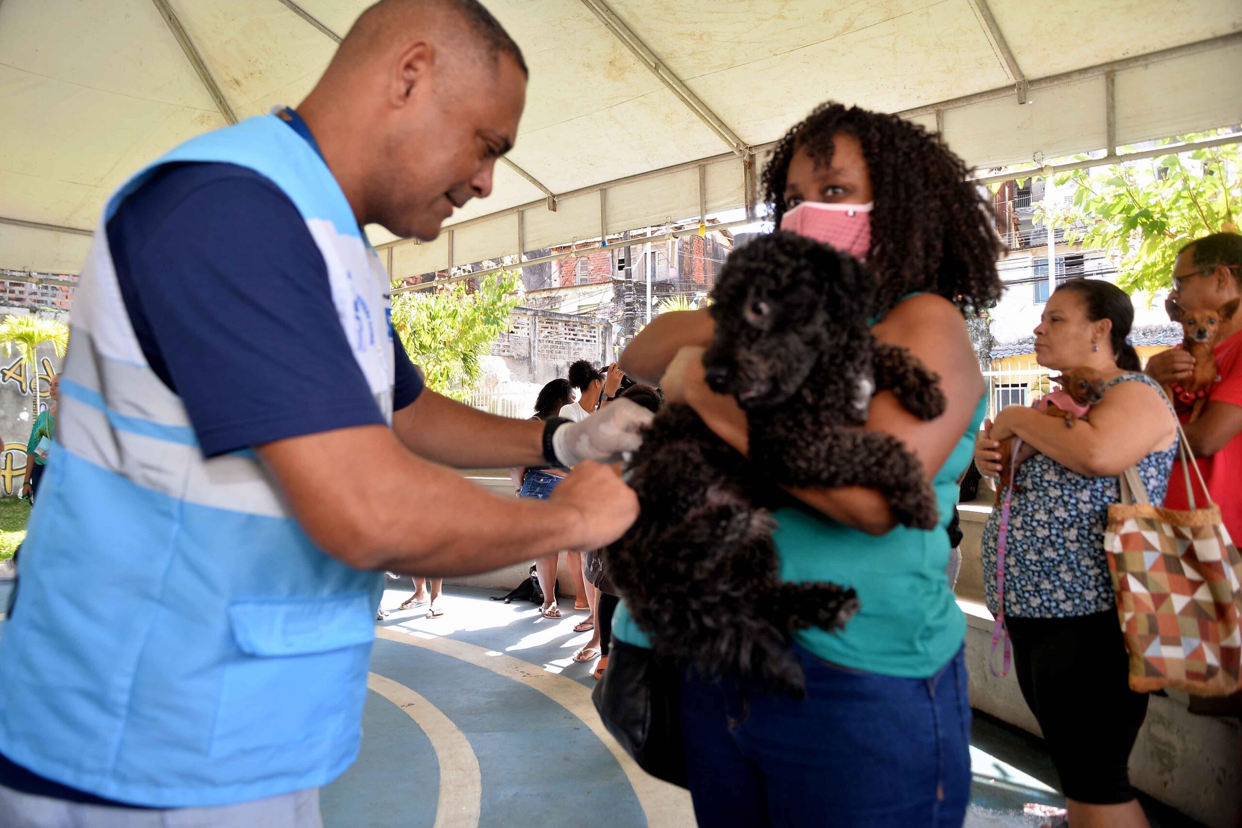 Secis realiza mutirão com oferta de vacina contra dez doenças em cães