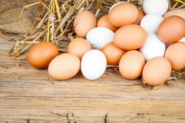 Produção brasileira de ovos bate recorde em 2022