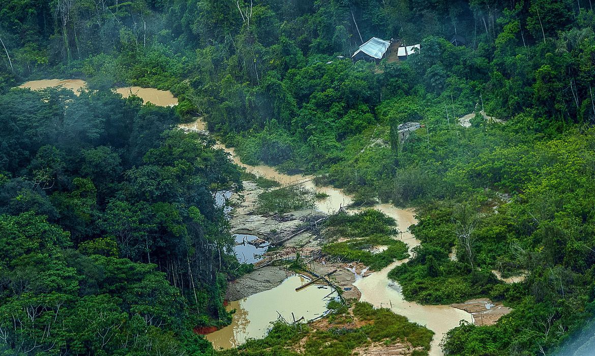 Greenpeace Brasil localiza 176 escavadeiras em terras Yanomami