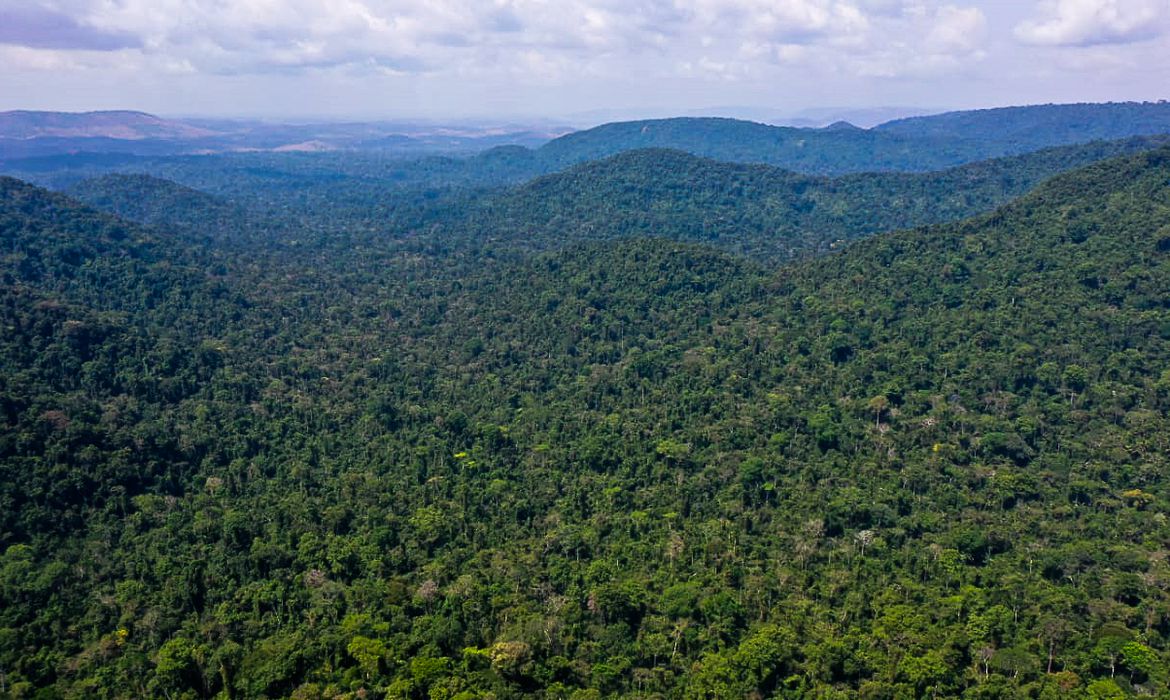 Estados Unidos anunciam US$ 500 milhões para Fundo Amazônia em cinco anos