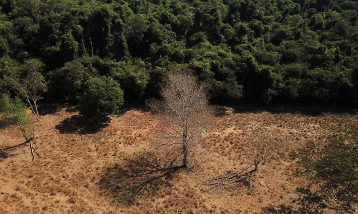 Desmatamento no Brasil cresceu 22,3% no ano passado