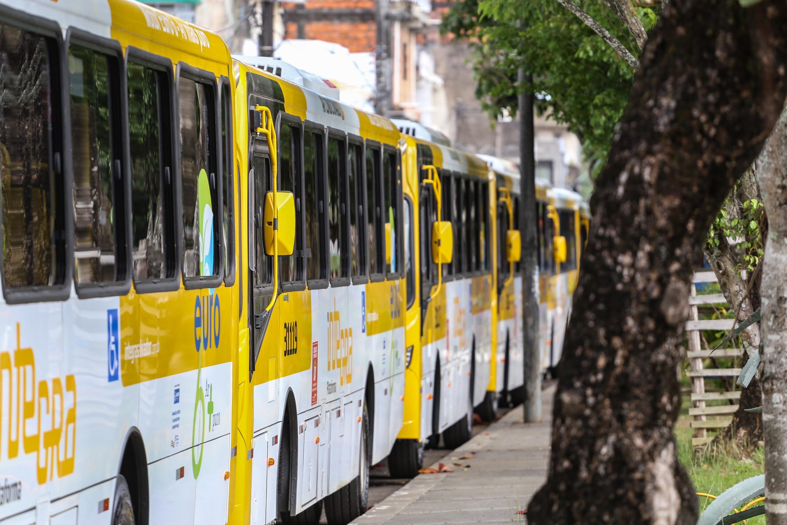 Linhas de ônibus passarão por adaptações e terão aumento de 36% em viagens diárias