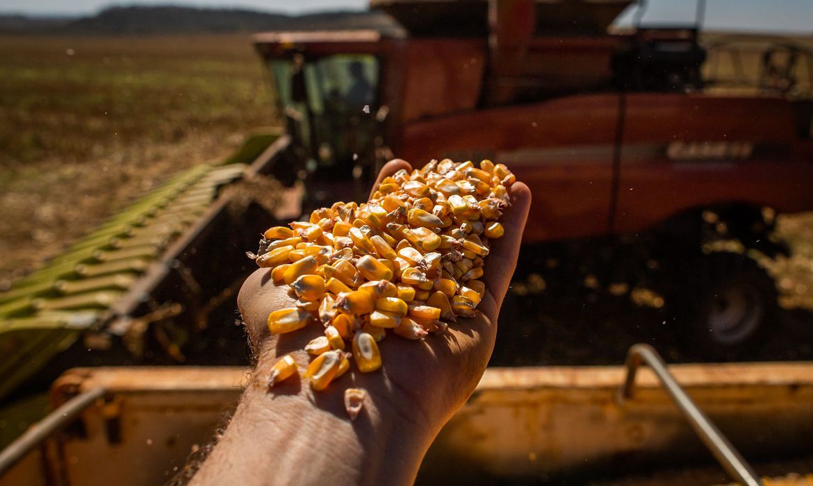Produção de grãos bate recorde e tem alta de 18,4% na safra 2022/23