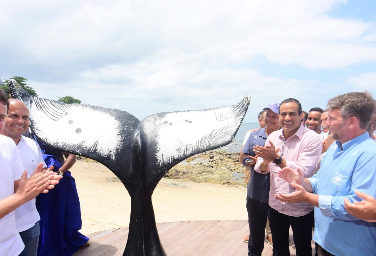 Salvador se consolida no turismo de observação de baleias jubarte