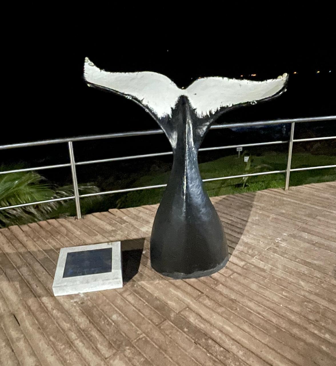 Prefeitura instala esculturas para celebrar consolidação do turismo de observação de baleias