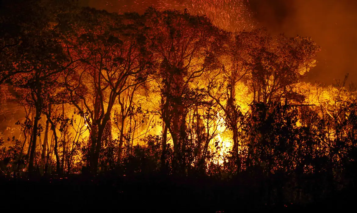 Pantanal bate recorde com mais de 3.000 incêndios em novembro