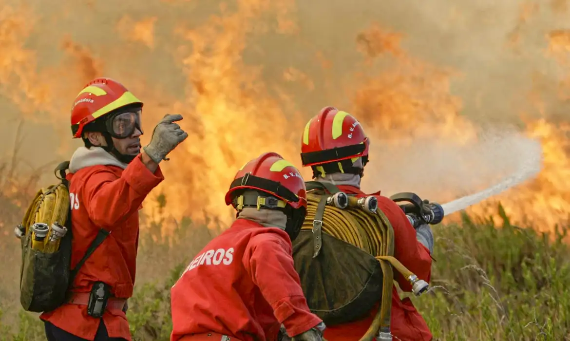 Fogo destrói 200 hectares de Mata Atlântica em Porto Seguro