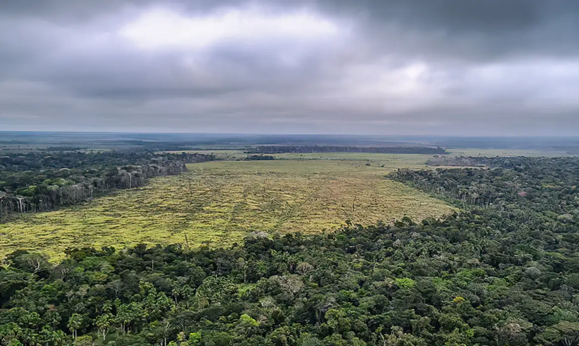 Estudo recomenda fim do desmatamento legal para zerar gases estufa no Brasil