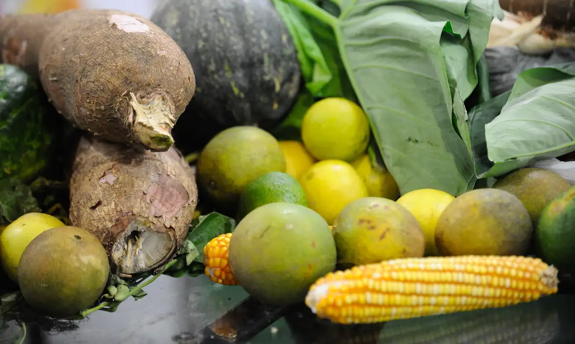 25% dos alimentos de origem vegetal consumidos no Brasil têm resíduos de agrotóxicos acima do permitido, diz Anvisa