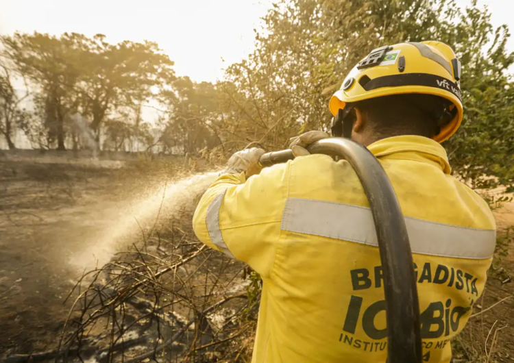 Mais de 17,3 milhões de hectares foram queimados no Brasil em 2023