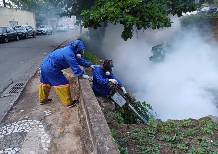 Salvador teve redução de 63% do número de casos de Aedes aegypti