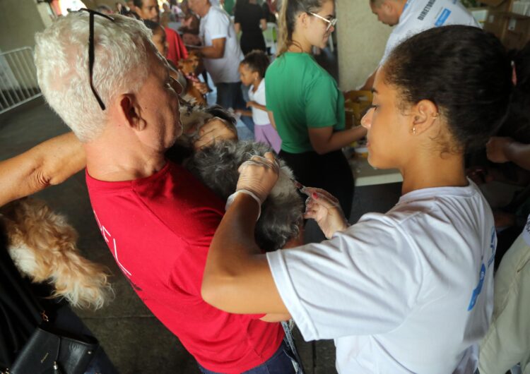 Secis promove aplicação gratuita de vacina V10 para cães no Parque da Cidade