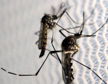 Brasil tem mais de 3 milhões de casos de dengue em 2024