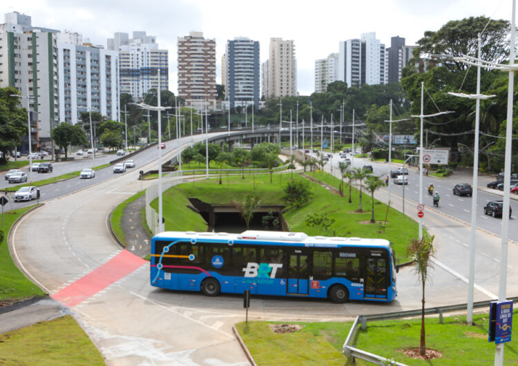 Prefeitura investe em paisagismo em estações e trajeto do BRT