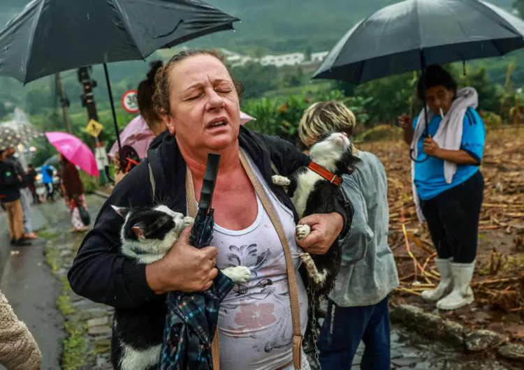 Chuvas no Rio Grande do Sul já mataram 113; outras 134 pessoas estão desaparecidas