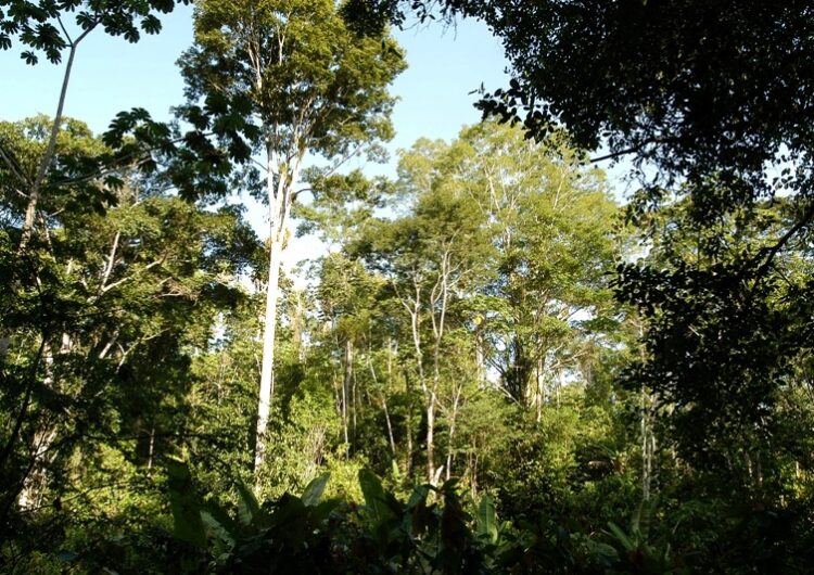 Criado assentamento no litoral sul da Bahia