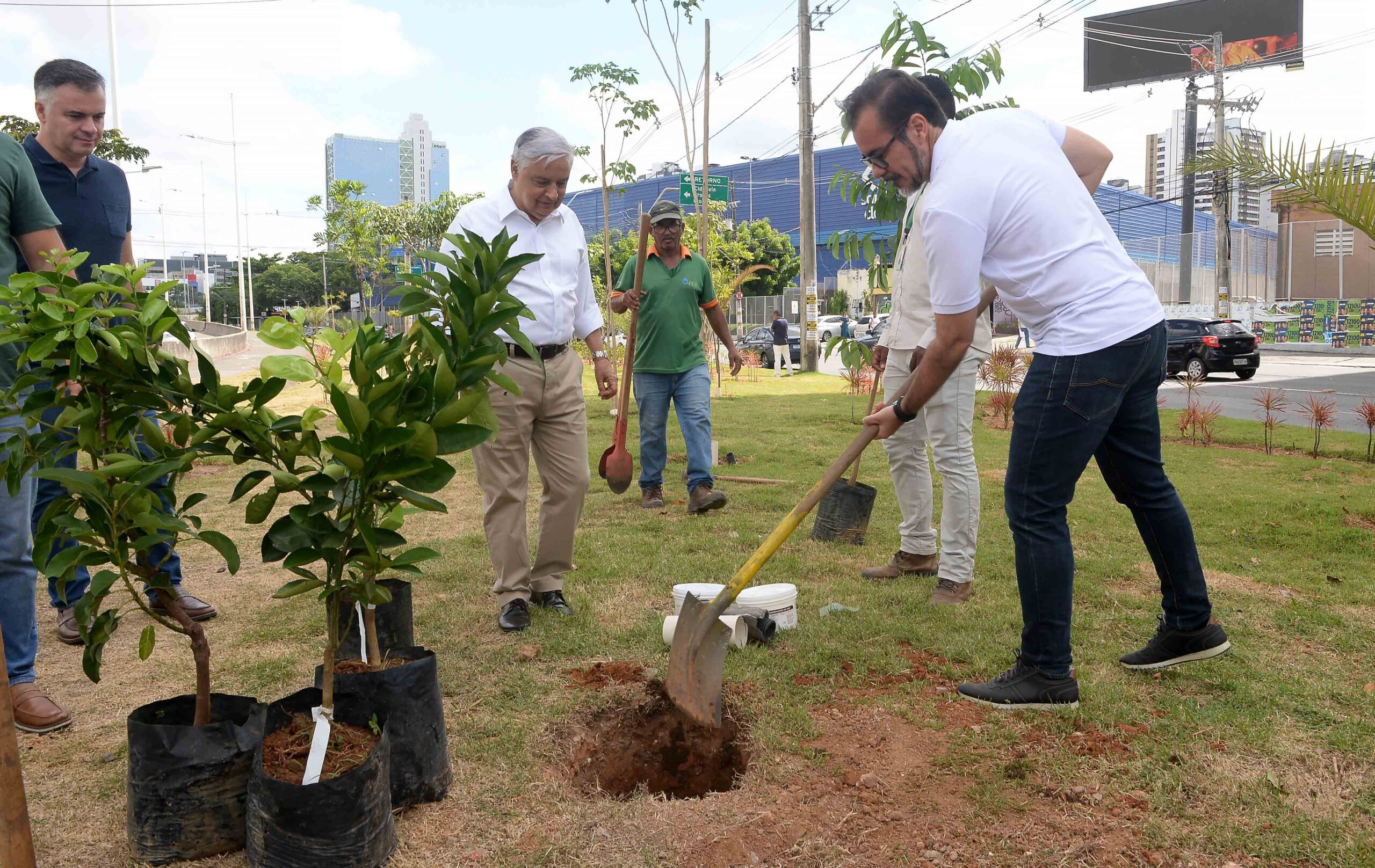 Salvador é 2ª capital com mais área verde do Brasil, aponta estudo da rede MapBiomas