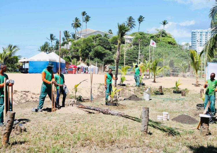 Projeto Praia Verde é iniciado na Paciência, no Rio Vermelho