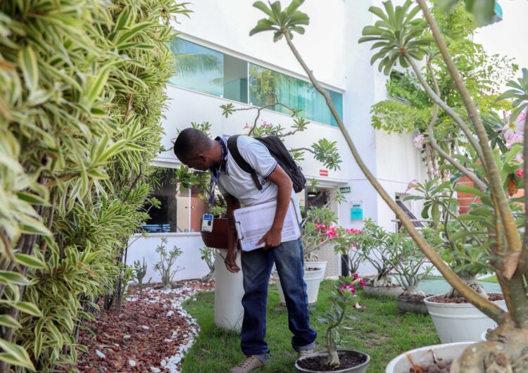 Hotéis e pousadas de Salvador recebem inspeções de combate ao mosquito da dengue