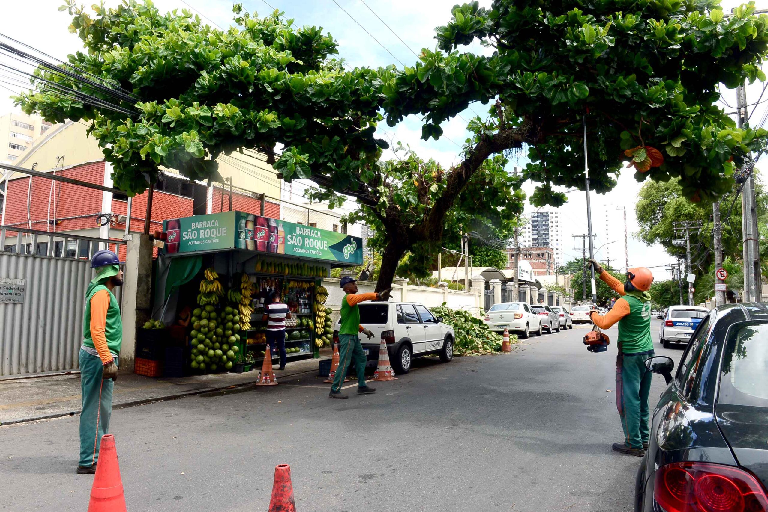 Seman intensifica poda de árvores nos circuitos do Carnaval