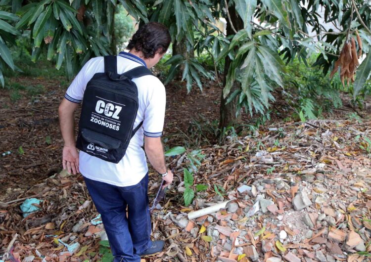 SMS combate vetor e garante diagnóstico e tratamento da doença de Chagas em Salvador