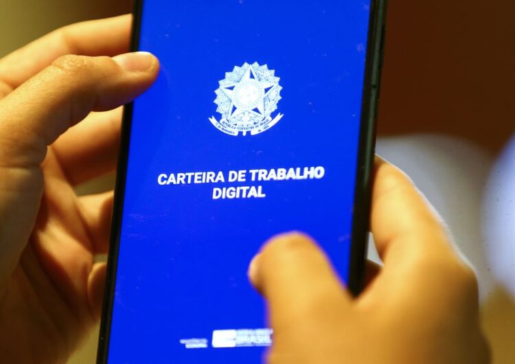 Desemprego entre jovens cai à metade entre 2019 e 2024