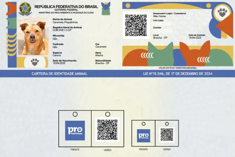 Saiba como funciona o SinPatinhas, novo RG Animal para cães e gatos