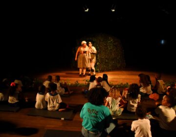 Festival Petiz leva cultura ao público infanto-juvenil de Salvador