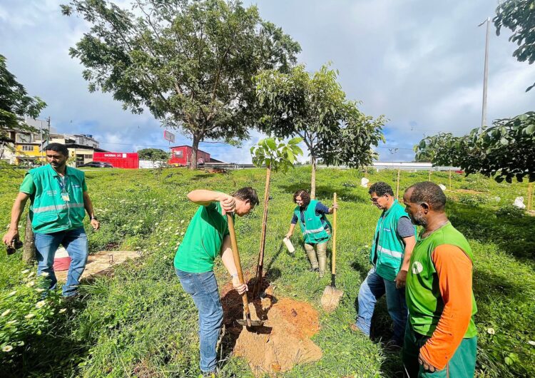 Secis promove plantio de mudas na Estrada do Curralinho
