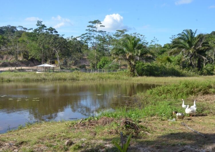 Incra Bahia inicia as vistorias e avaliações nos territórios quilombolas de Pitanga de Palmares e Kaonge