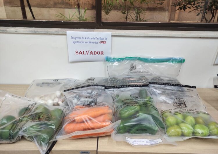 Salvador impulsiona a Bahia no ranking nacional de controle de agrotóxicos em alimentos